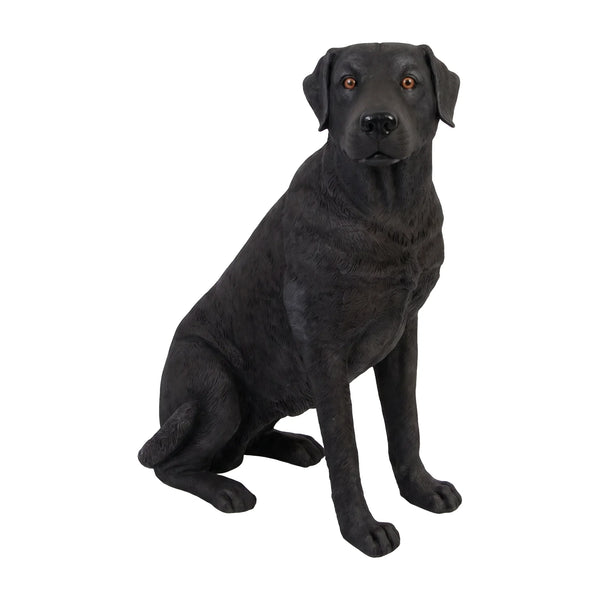 Sitting Labrador
