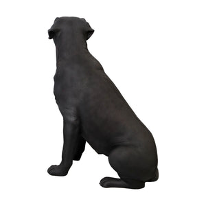 Sitting Labrador