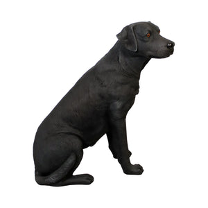 Sitting Labrador