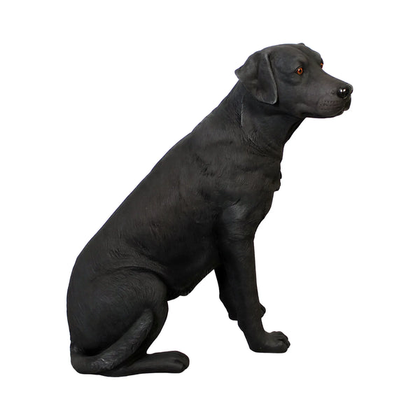 Sitting Labrador