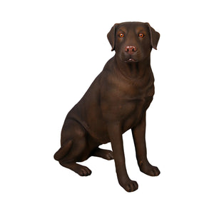 Sitting Labrador