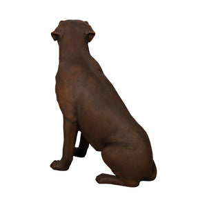 Sitting Labrador