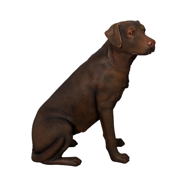 Sitting Labrador