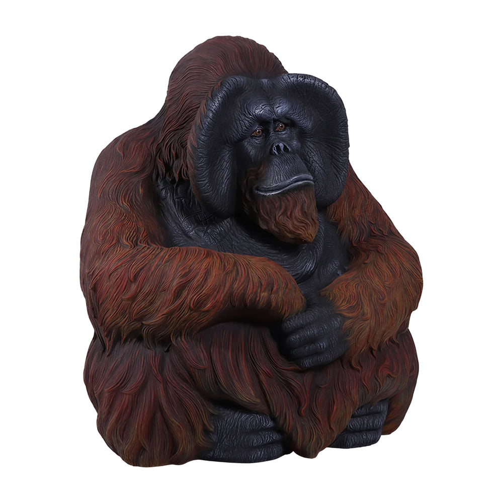 Sitting Orangutan (not in AUS)