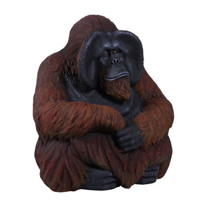Sitting Orangutan (not in AUS)