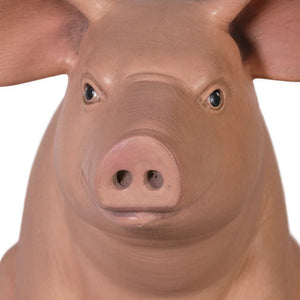 Sitting Pig Small