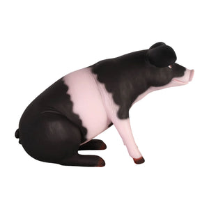 Sitting Pig Small