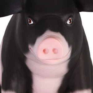 Sitting Pig Small