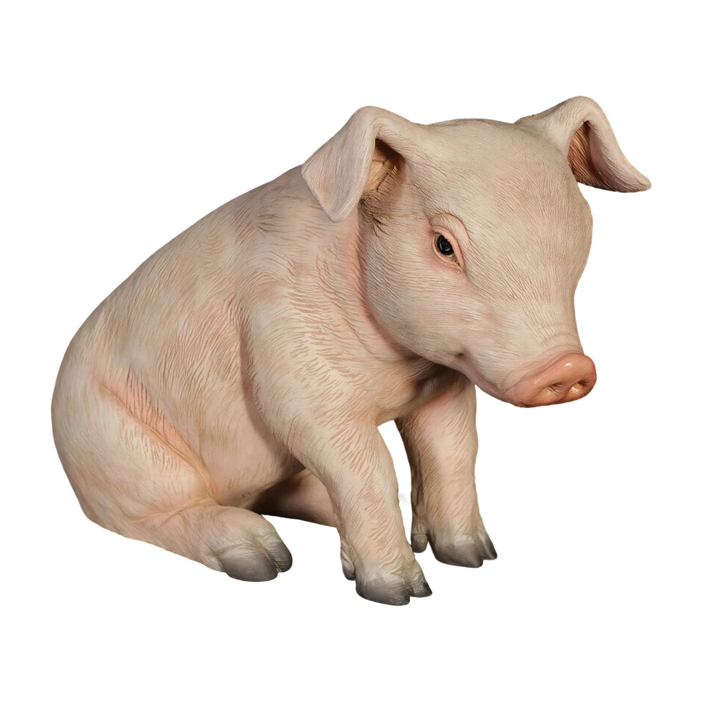 Sitting Piglet