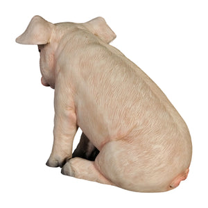 Sitting Piglet