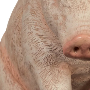 Sitting Piglet