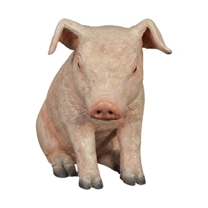 Sitting Piglet