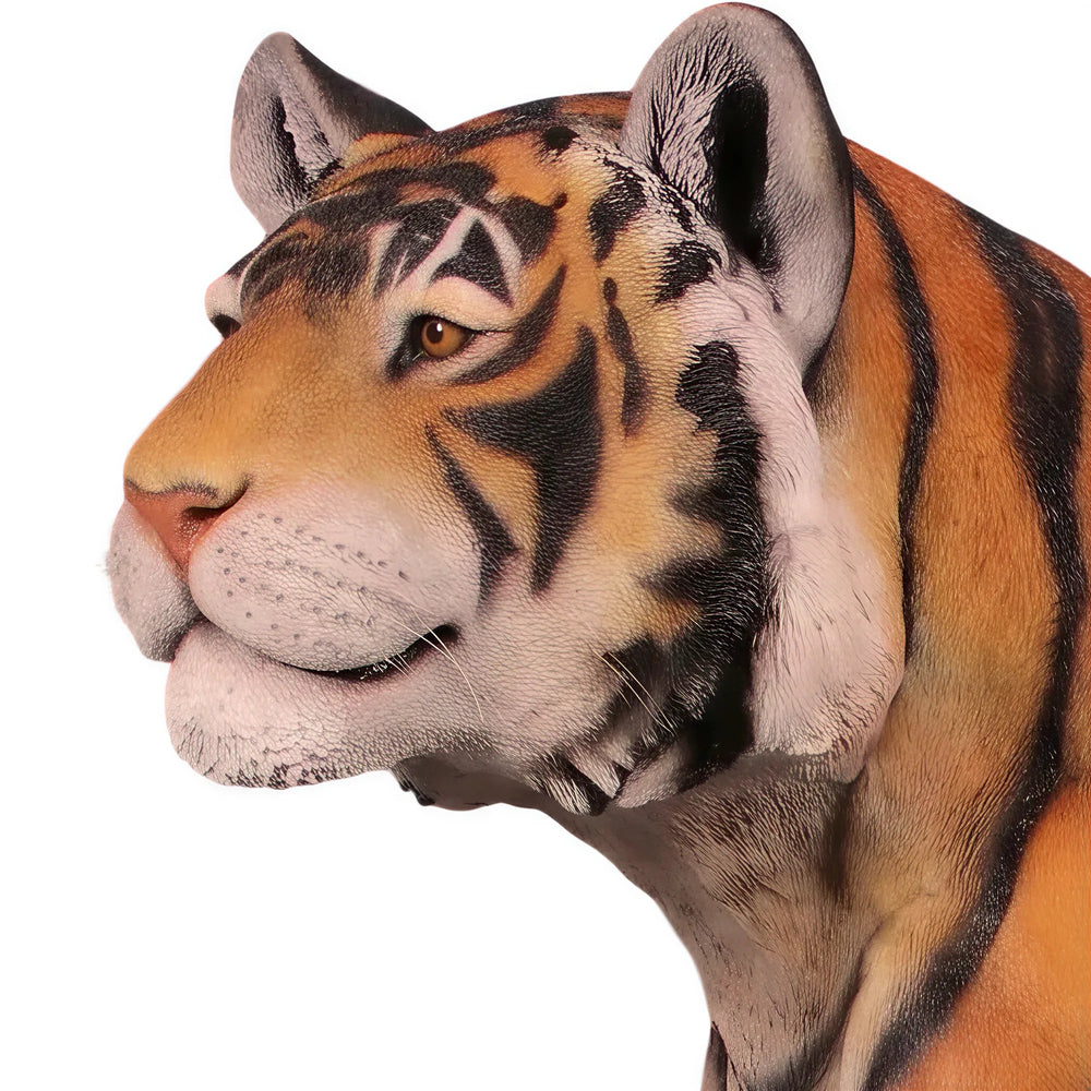 Sitting Tiger (not in UK)