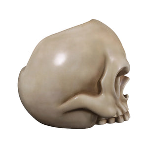 Skull Seat (Not In Usa/Canada)