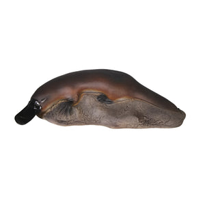 Small Platypus on Rock