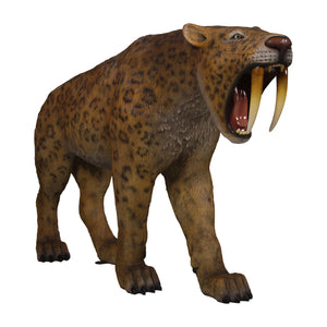 Smilodon - Saber-toothed Cat