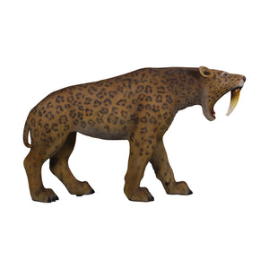 Smilodon - Saber-toothed Cat