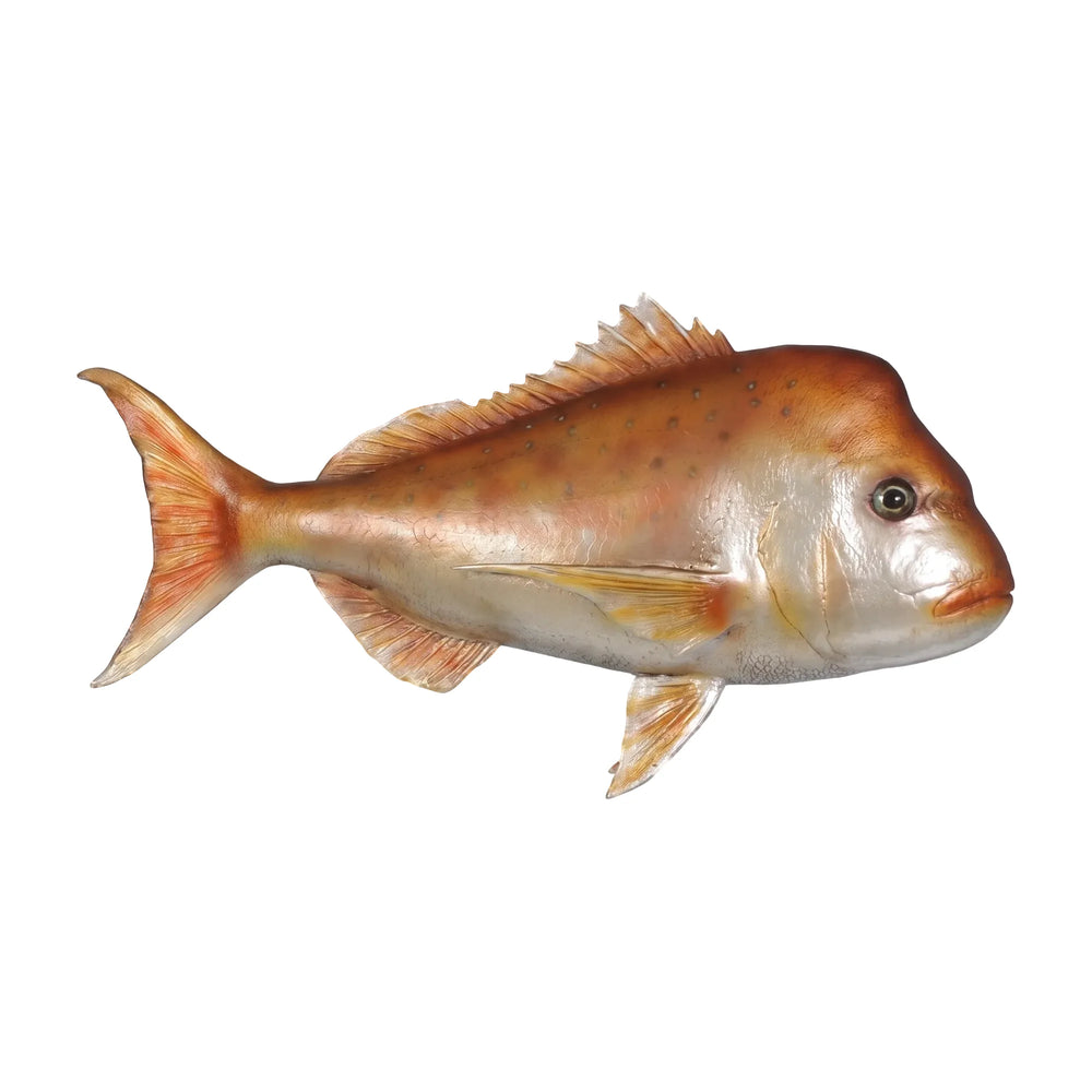 Snapper (not in Aus / USA/Canada)