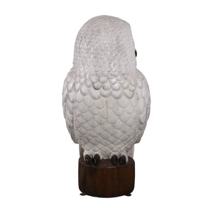 Snowy Owl 5ft. (Not in UK)