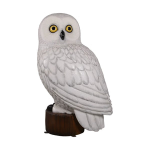 Snowy Owl 5ft. (Not in UK)