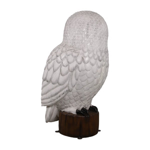 Snowy Owl 5ft. (Not in UK)