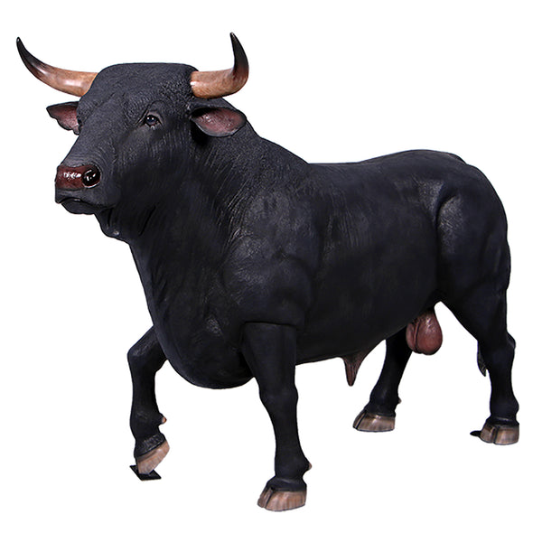 Spanish Fighting Bull (not in AUS)