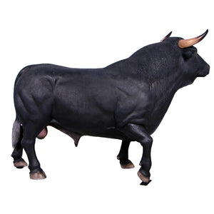 Spanish Fighting Bull (not in AUS)