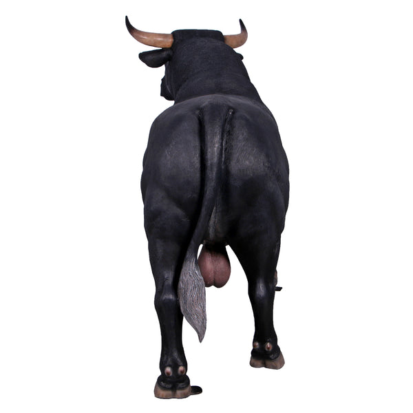 Spanish Fighting Bull (not in AUS)