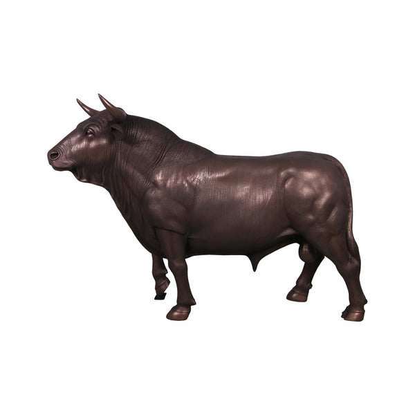 Spanish Fighting Bull (not in AUS)