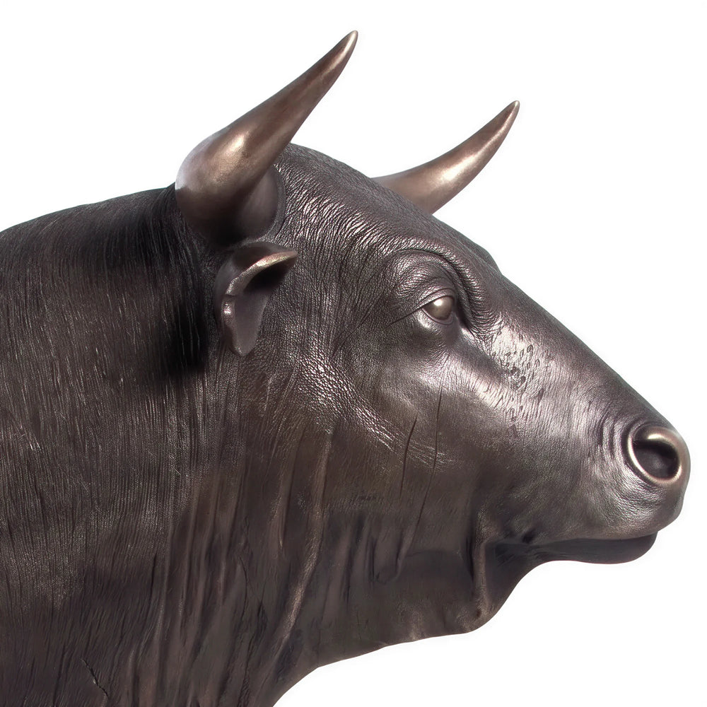 Spanish Fighting Bull (not in AUS)