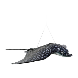 Spotted Eagle Ray (Not in Aus)