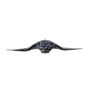 Spotted Eagle Ray (Not in Aus)
