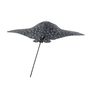 Spotted Eagle Ray (Not in Aus)