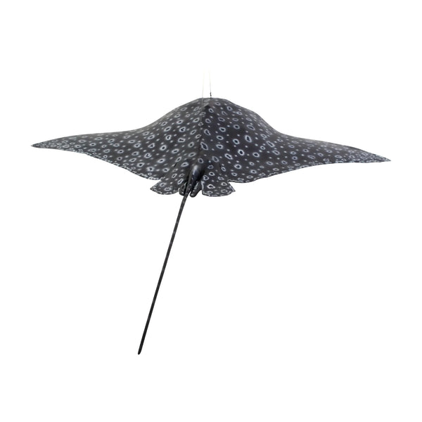 Spotted Eagle Ray (Not in Aus)