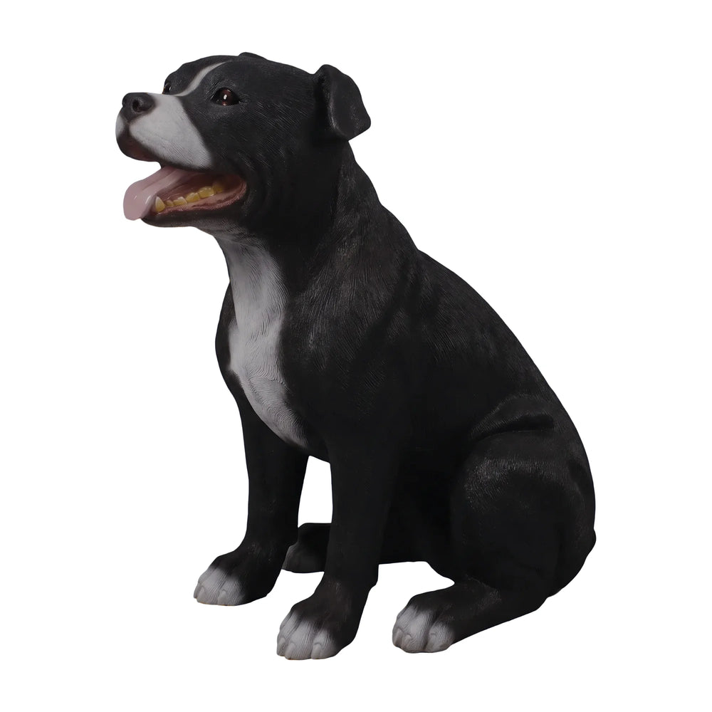 Staffordshire Bull Terrier