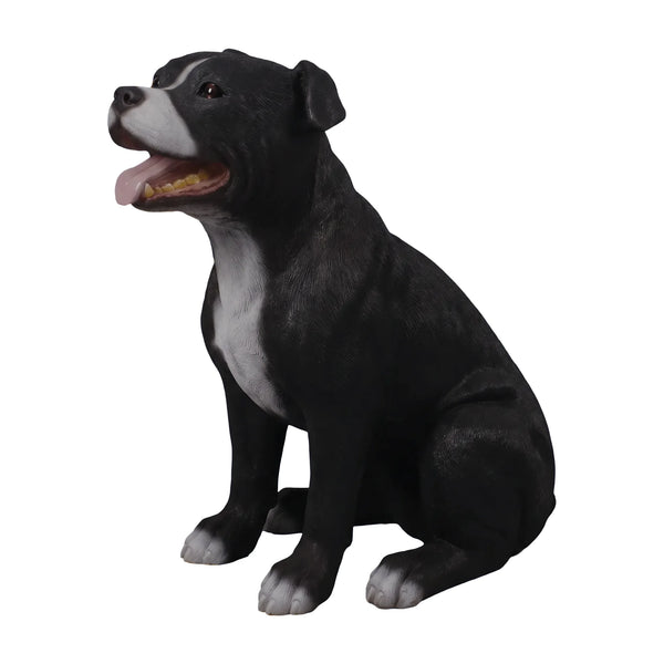 Staffordshire Bull Terrier