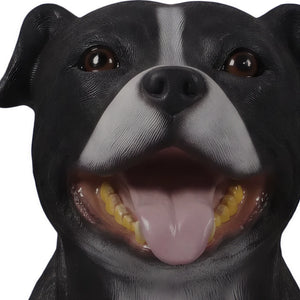 Staffordshire Bull Terrier