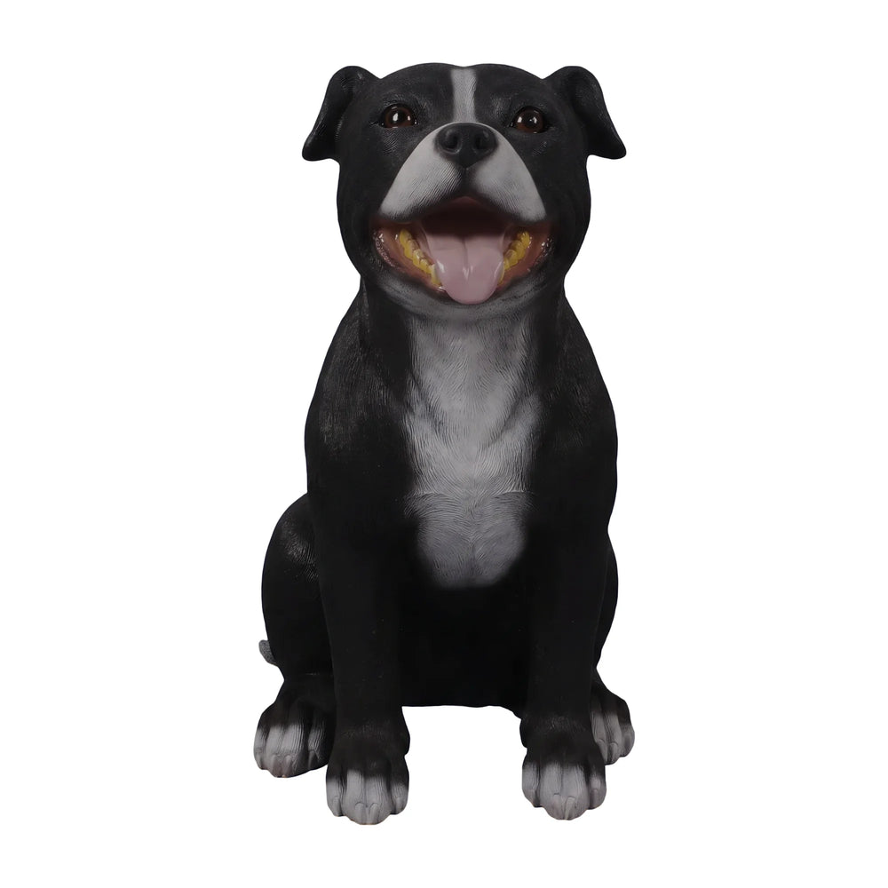 Staffordshire Bull Terrier