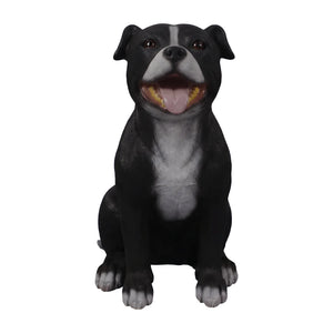 Staffordshire Bull Terrier