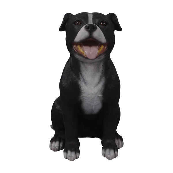 Staffordshire Bull Terrier