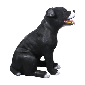 Staffordshire Bull Terrier