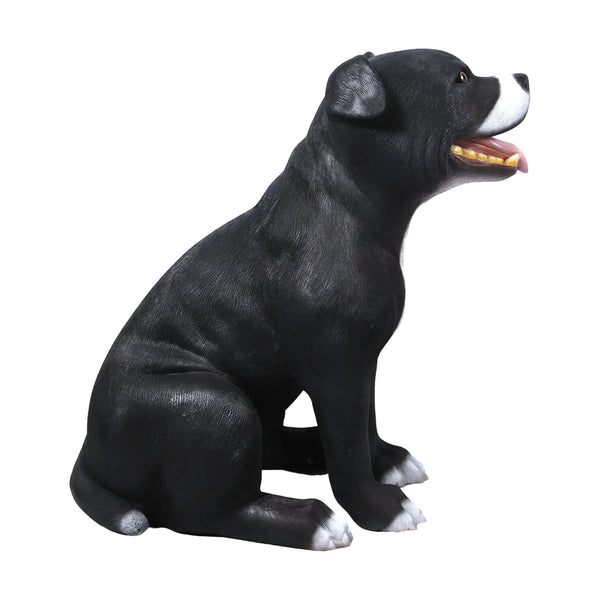 Staffordshire Bull Terrier