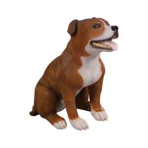 Staffordshire Bull Terrier