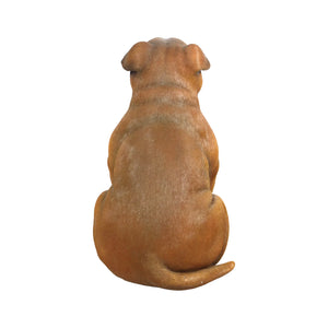 Staffordshire Bull Terrier