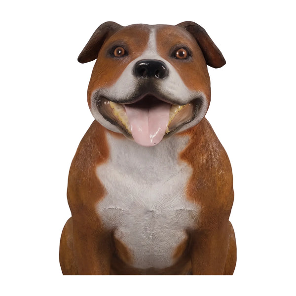 Staffordshire Bull Terrier