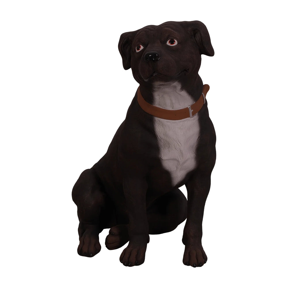 Staffordshire Terrier (Not in Aus)
