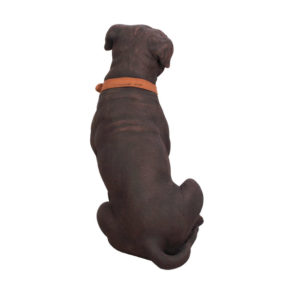 Staffordshire Terrier (Not in Aus)