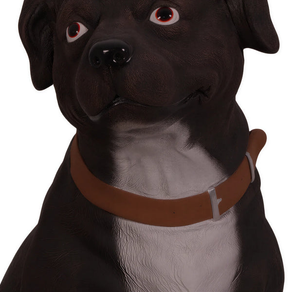 Staffordshire Terrier (Not in Aus)