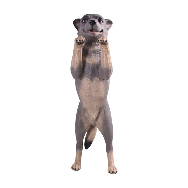 Standing Blue Heeler (Not in Aus)