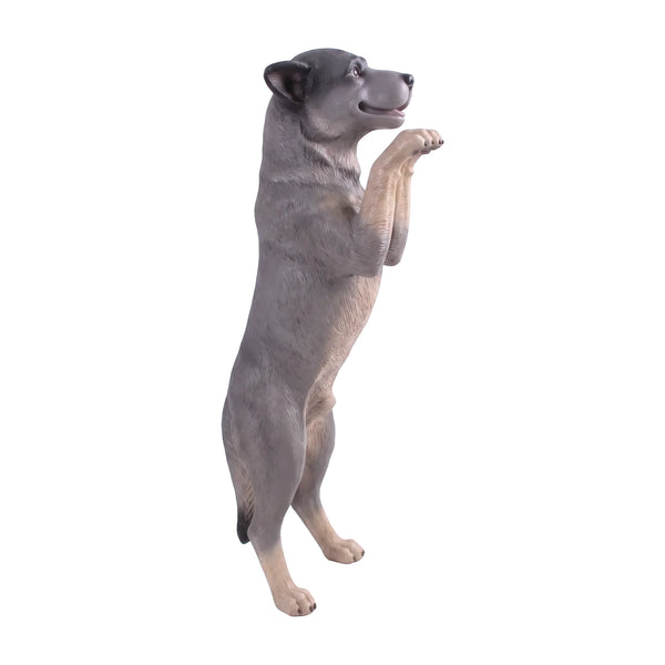 Standing Blue Heeler (Not in Aus)